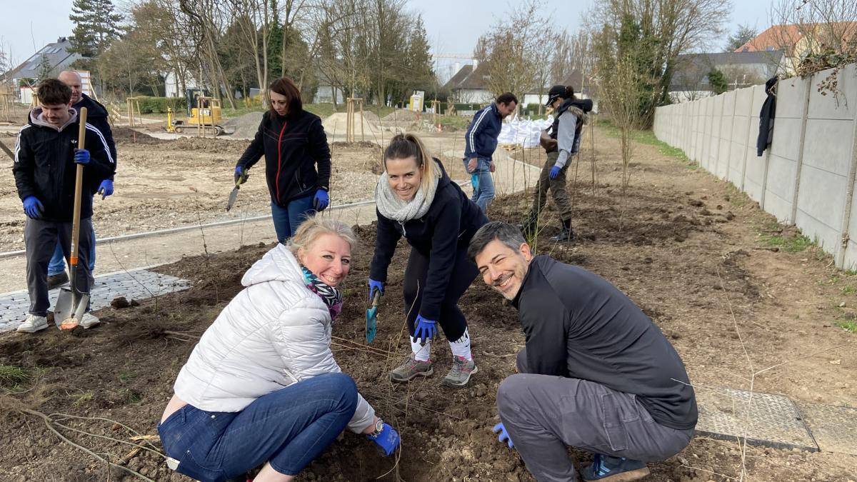 Plantation Herrlisheim 