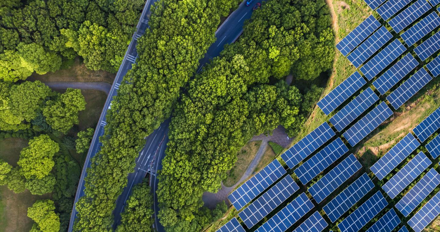 Panneaux solaires en pleine nature