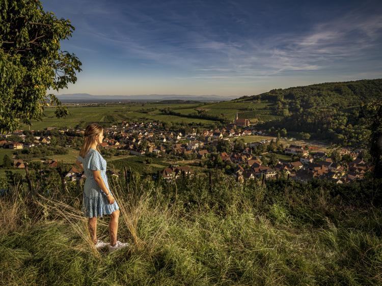Paysage alsace 